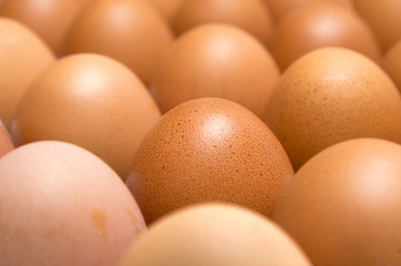 egg isolated on white background