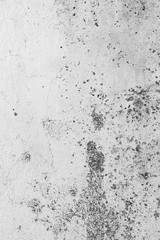 The vertical view of old,white, grey grunge concrete texture or background. Copy space. graphical resource