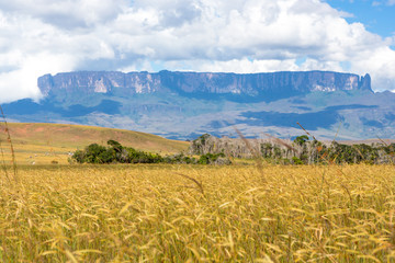 Monte Roraima, Venezuela, America do Sul.