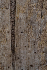 Wood texture background. Dark wood texture background surface with old natural pattern. Closeup grunge surface with wood texture background. Vintage timber texture background. 