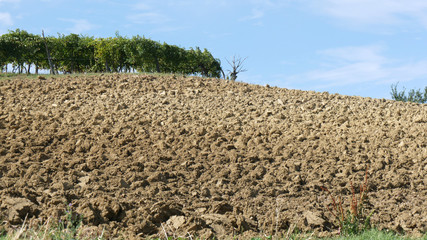 Campagna nelle Langhe e Roero