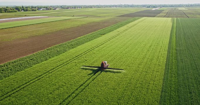 Drone aerial shot of a farmer spraying green wheat field