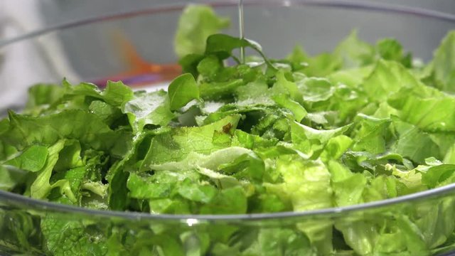 Lettuce Salad, adding dressing salt, oil, vinigar