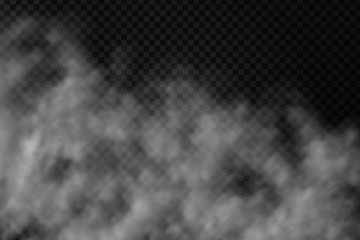 Vector realistic isolated smoke on the transparent background.