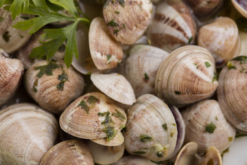 clams in very old plate