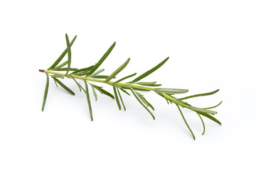 Rosemary isolated on white background, Top view.