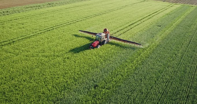 Drone aerial shot of a farmer spraying green wheat field