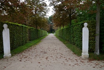 Weg durch den Park Sanssoucis