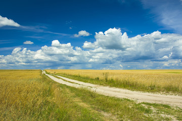 Fototapeta na wymiar Long field road, field and blue sky