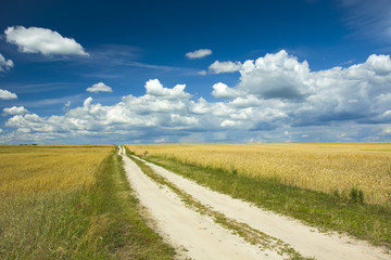 Long field road and field