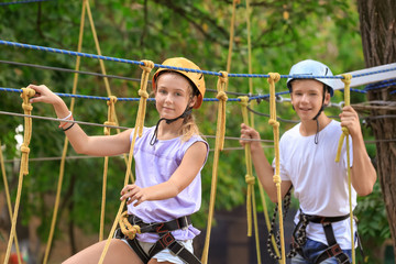 Cute children climbing in adventure park