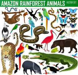 big set of vector amazon rainforest jungle animals - obrazy, fototapety, plakaty
