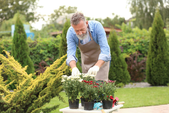 Elderly man working in garden