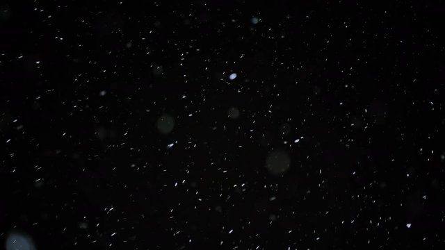 Snow Particles Falling From the Night Sky