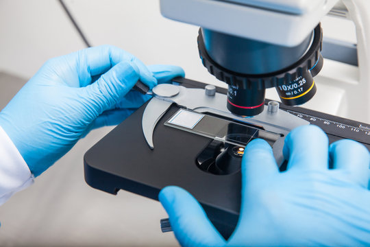 Young male scientist looking at slides under the microscope