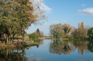 Fototapeta na wymiar arbres se réfléchissant dans un lac en automne