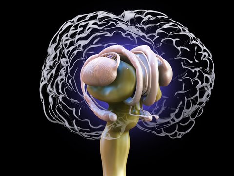 Illustration of human brain against black background