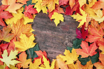 Naklejka na ściany i meble Autumn leaves on a board background