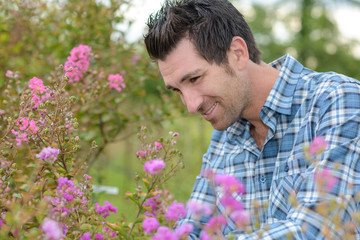 checking another flower variety