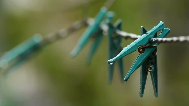 Clothes Pegs on Rope