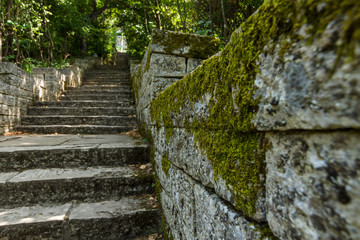 Moss on a stone wall. Focus on the foreground.