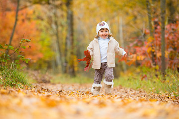 Autumn time, happy little baby, the girl walks along the path with a bouquet of autumn leaves.