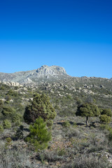 Fototapeta na wymiar Views of Guadarrama Mountains (Madrid, Spain) with La Maliciosa peak in the background.