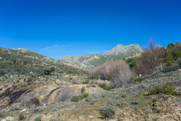 Views of the river Arroyo de Peña Jardinera in Guadarrama Mountains (Madrid, Spain) with La Maliciosa peak in the background.