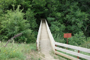 Fototapeta premium Bridge to the forest