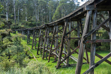 The Monbulk Trestle Bridge