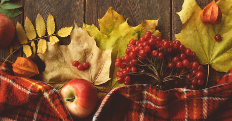 Autumn coziness ripe leaves mix wood surface concept. Colourful fall background.
