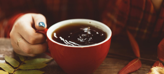 Woman holds cup of warm tea on the autumnal background. Delights of the fall. Disease prevention