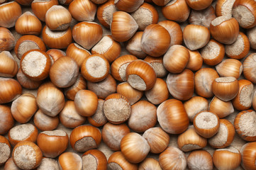 Hazelnuts heap close-up