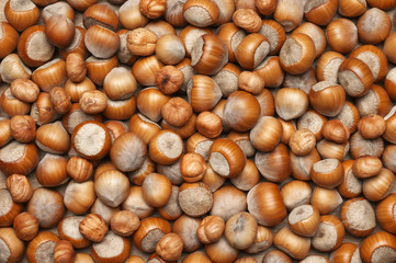 Hazelnuts heap close-up