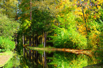 Beautiful autumn landscape