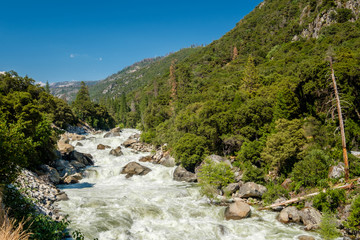 Fototapeta na wymiar Merced River landscape in Yosemite