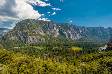 Obraz premium Yosemite National Park Valley summer landscape