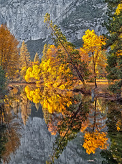 fall colored forest reflection over the river