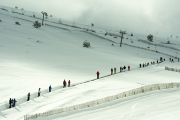 El ascenso a la cima