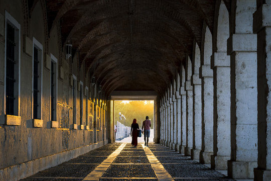 La luz al final del camino