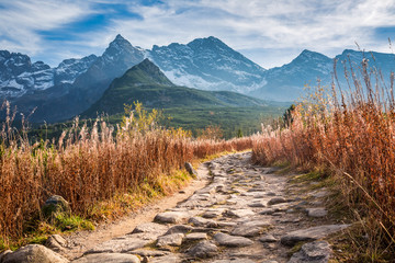 Beautiful path to the mountain valley in Tatras in Poland