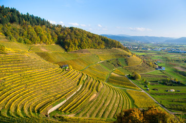 Blick von der Ortenburg in die Weinberge