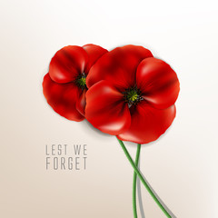 remembrance day - veteran's day- lest we forget
