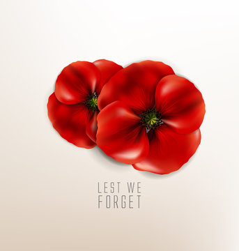 remembrance day - veteran's day- lest we forget
