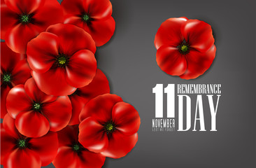 remembrance day - veteran's day- lest we forget
