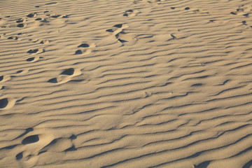 Beach sand is swept in the wind