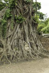 ワット・マハータートの仏頭