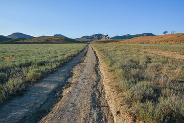 Dirt road in the savannah and mountains in the background