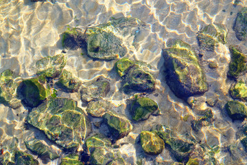 look at the bottom of the sea through the water.