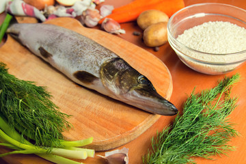 Raw fish. Cutting fresh pike women's hands.